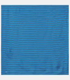 Toteme Striped silk scarf