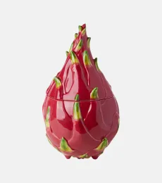 Tropical Fruits Pitaya earthenware container Tropical Fruits Pitaya earthenware container