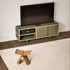 Tv Stand in Moss Green with Doors and Backpanels