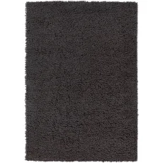 Union Rug Fossil Union Rug Fossil