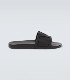 VLogo slides VLogo slides