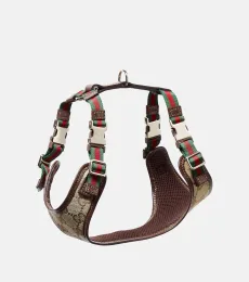 XS GG canvas leather-trimmed dog harness