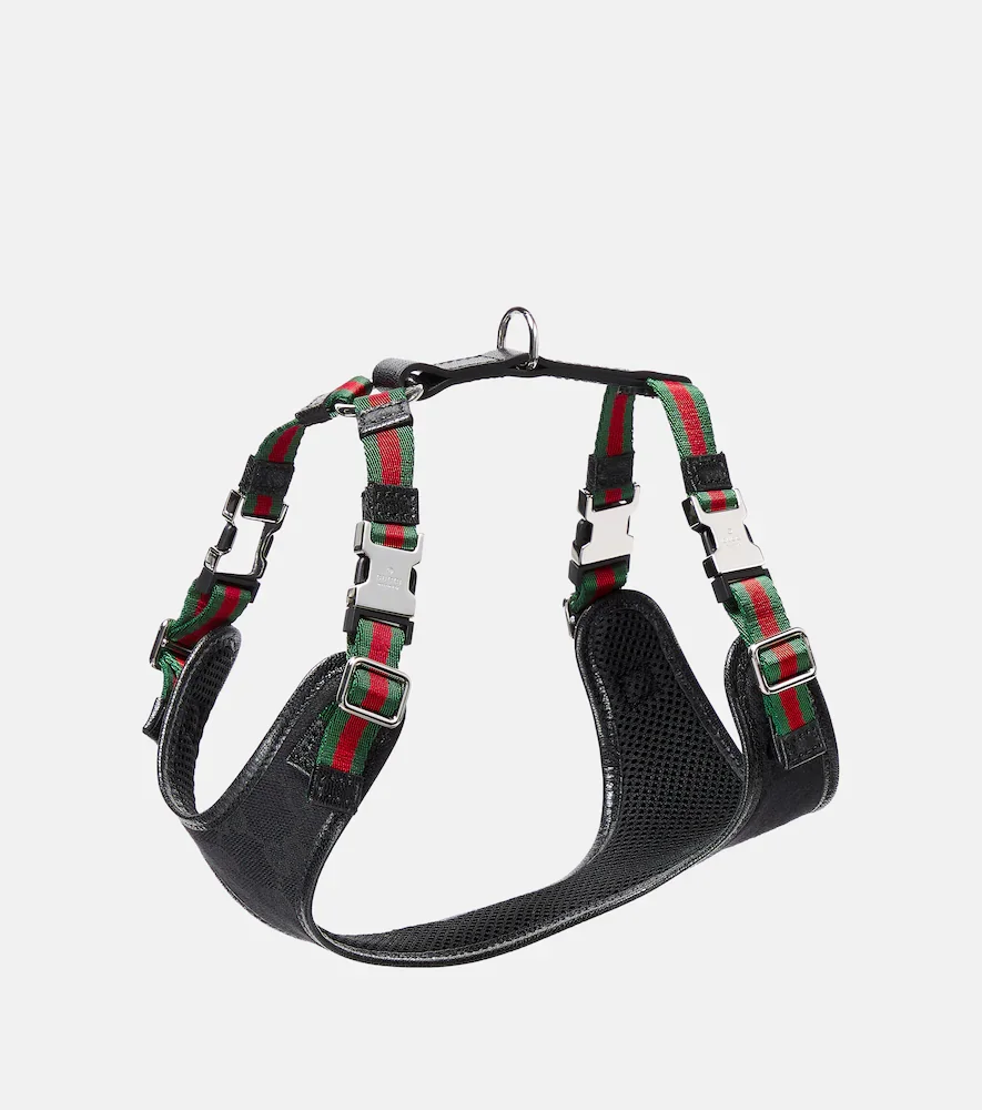 Harnais pour chien XS en toile GG